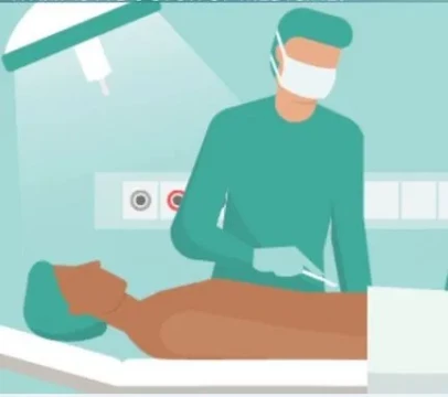 Meditatii Biologie - Anatomie - Fiziologie pentru BAC sau admitere